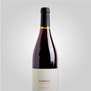 Chacra Barda Pinot Noir Patagonia Rio Negro