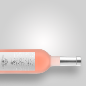 Casa Madero V Rosé