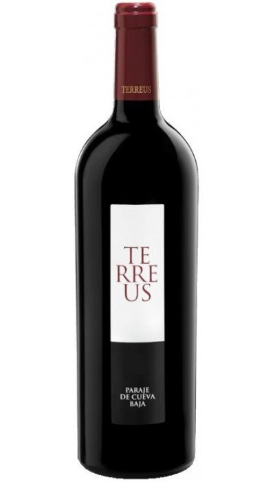 Mauro Terreus Castilla y Leon. - Imagen 2