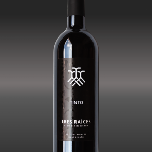 Tres Raices, Ensamble, Guanajuato, México